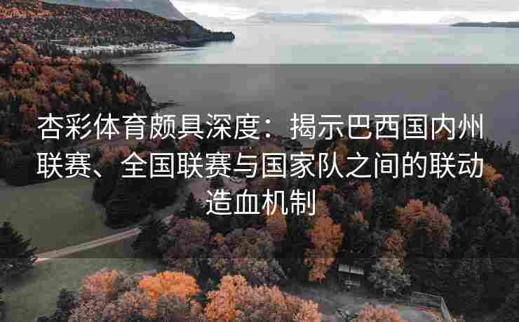 杏彩体育颇具深度：揭示巴西国内州联赛、全国联赛与国家队之间的联动造血机制